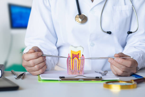Best Emergency Dental Care for Abscessed Tooth in Centre Grove, NJ